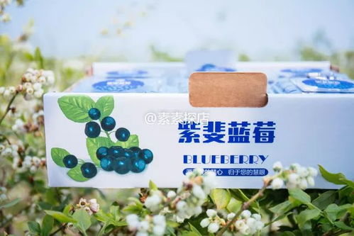 素素探店 網(wǎng)紅藍(lán)莓酒年初沒搶上蹉腳哭 別再錯過頭茬有機(jī)藍(lán)莓采摘季了